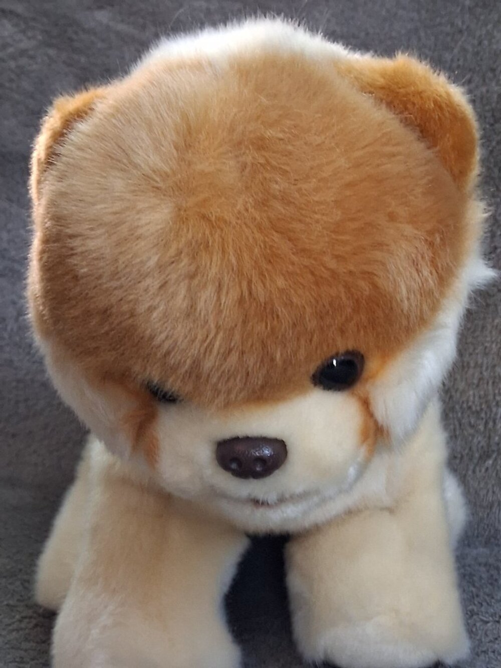 GUND Boo, The World's Cutest Pomeranian Plush Dog